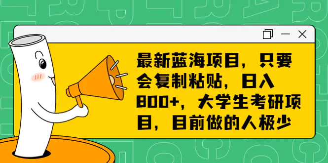 最新蓝海项目，只要会复制粘贴，日入800+，大学生考研项目，目前做的人极少-航海圈