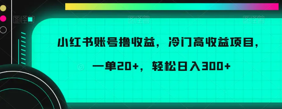 小红书账号撸收益，冷门高收益项目，一单20+，轻松日入300+【揭秘】-航海圈