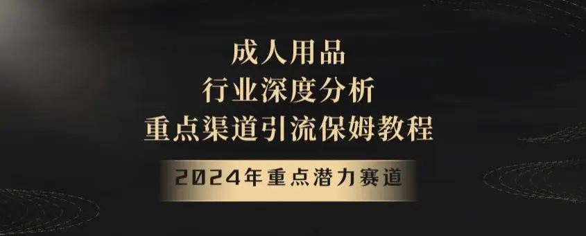 2024年重点潜力赛道，成人用品行业深度分析，重点渠道引流保姆教程【揭秘】-航海圈