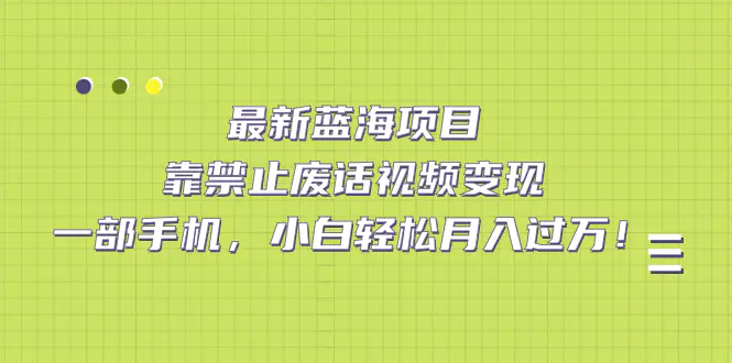 最新蓝海项目，靠禁止废话视频变现，一部手机，小白轻松月入过万！-航海圈