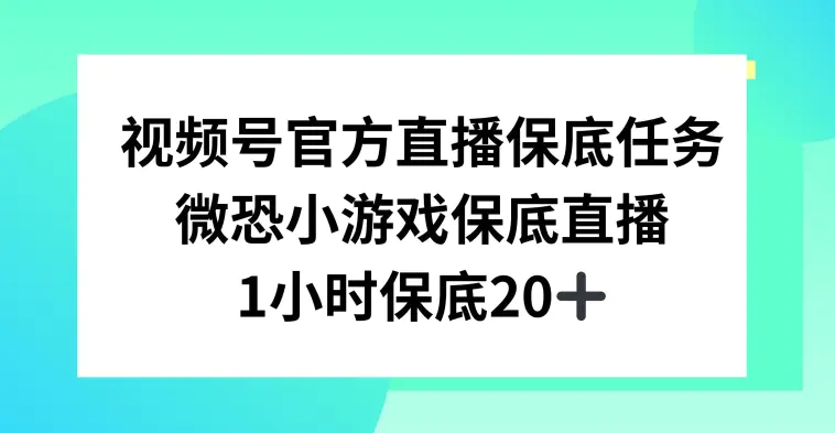 视频号直播任务，微恐小游戏，1小时20+【揭秘】-航海圈