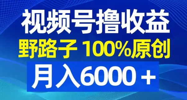 视频号野路子撸收益,100%原创,条条爆款,月入6000+【揭秘】-航海圈