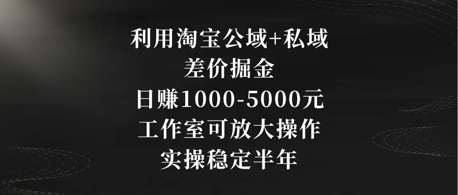 利用淘宝公域+私域差价掘金，日赚1000-5000元，工作室可放大操作，实操…-航海圈