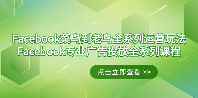 Facebook-菜鸟到老鸟全系列运营玩法+Facebook-专业广告投放全系列课程-航海圈
