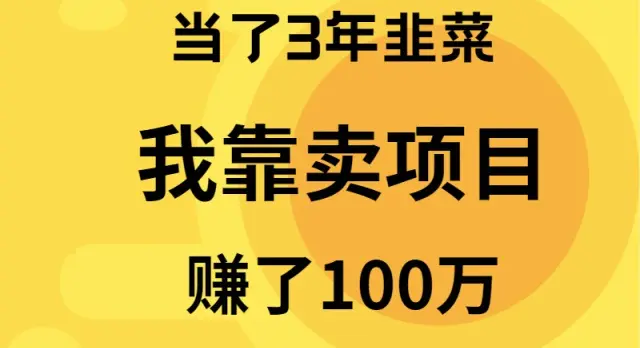 当了3年韭菜,我靠卖项目赚了100万-航海圈