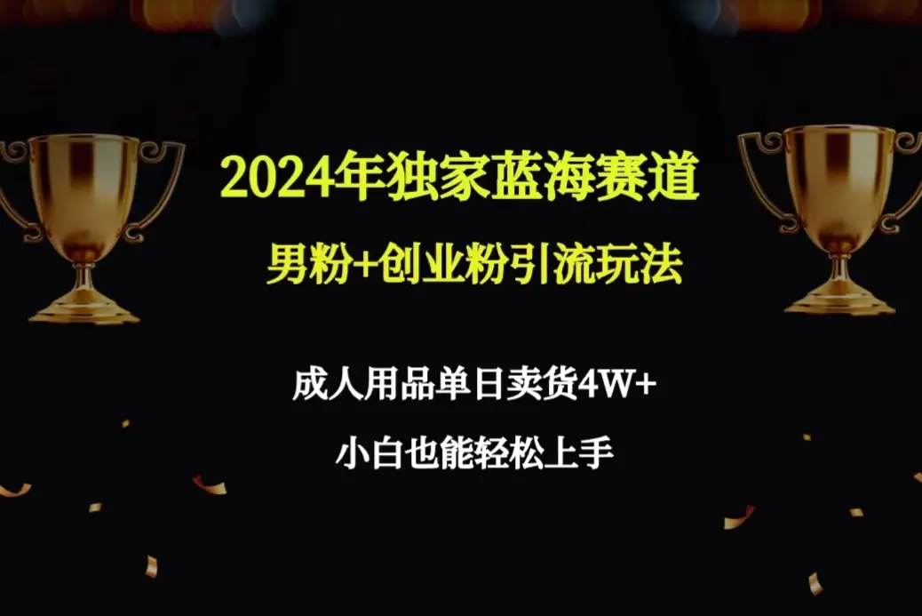2024年独家蓝海赛道男粉+创业粉引流玩法，成人用品单日卖货4W+保姆教程-航海圈
