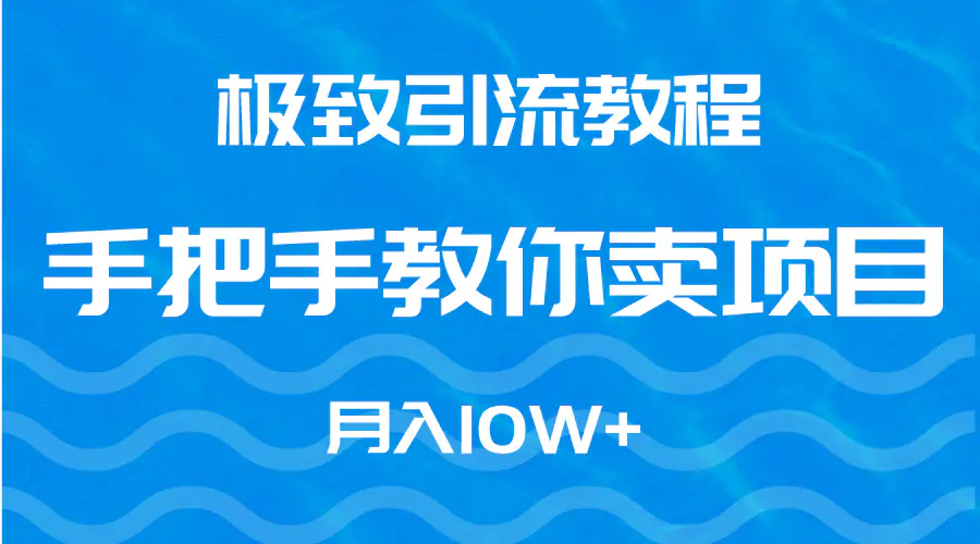 极致引流教程，手把手教你卖项目，月入10W+-航海圈