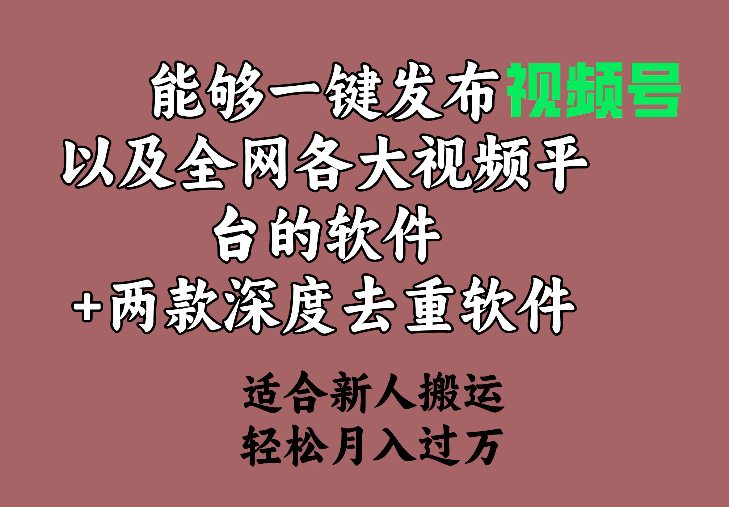 能够一键发布视频号以及全网各大视频平台的软件+两款深度去重软件 适合…-航海圈