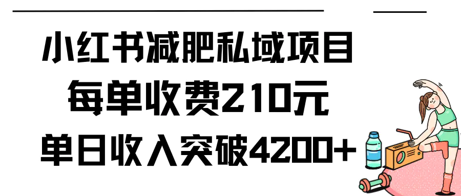 小红书减肥私域项目每单收费210元单日成交20单，最高日入4200+-航海圈
