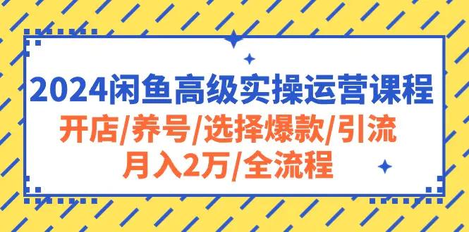 2024闲鱼高级实操运营课程：开店/养号/选择爆款/引流/月入2万/全流程-航海圈