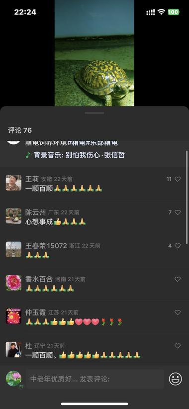 这个博主就发了乌龟的视频，不知道为什….-航海圈