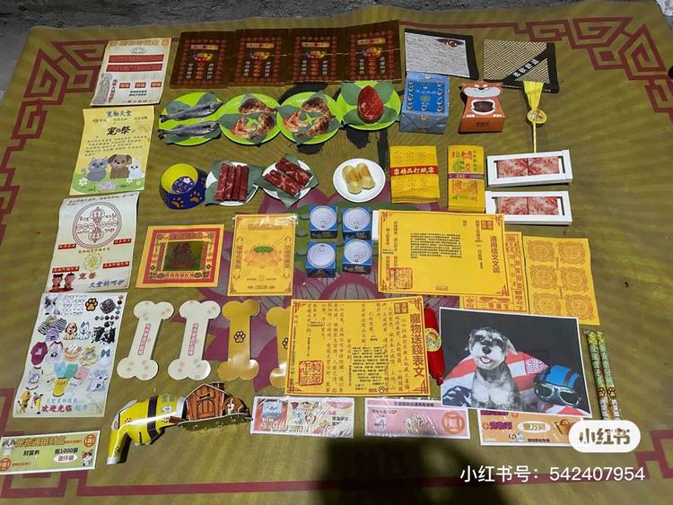 宠物祭品…有点惊人…-搞钱风向标论坛-航海社群内容-航海圈