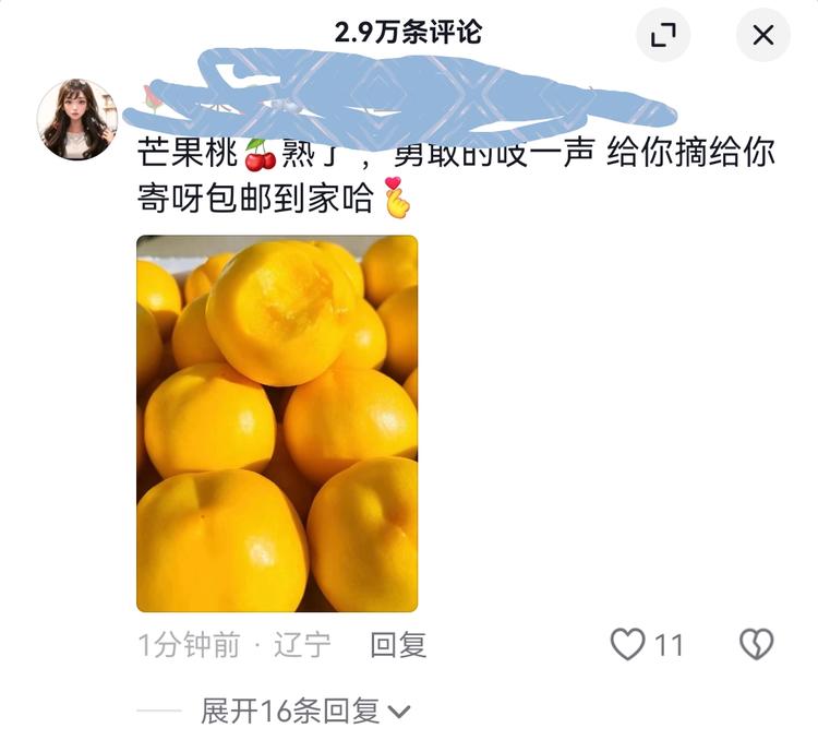 抖音热门视频评论区发时令水果引流….-航海圈