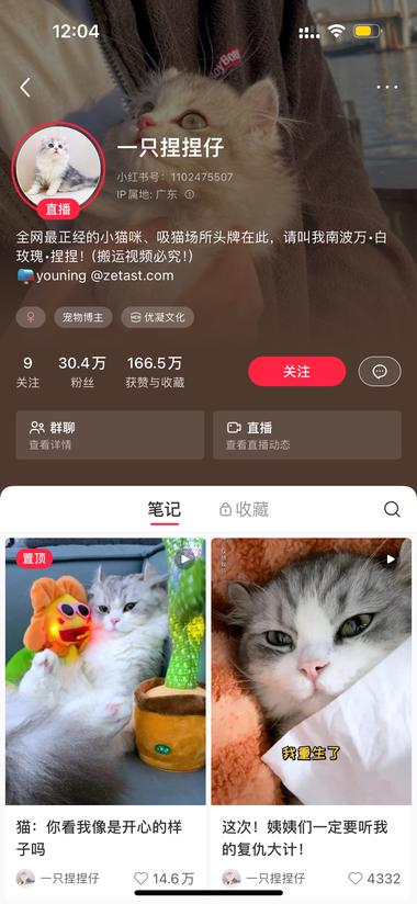 年轻人云养猫必备地 非传统意义上的 擦边….-航海圈