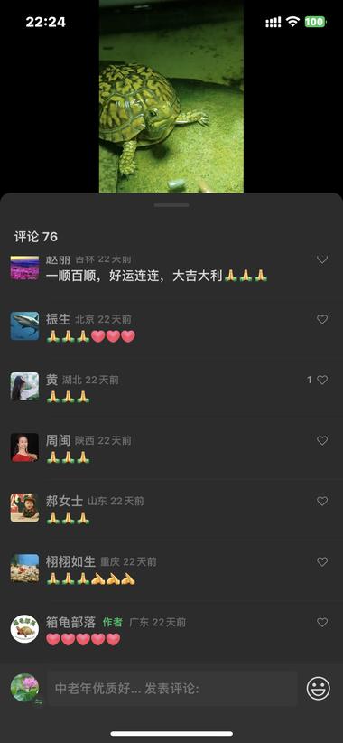 这个博主就发了乌龟的视频，不知道为什….-航海圈