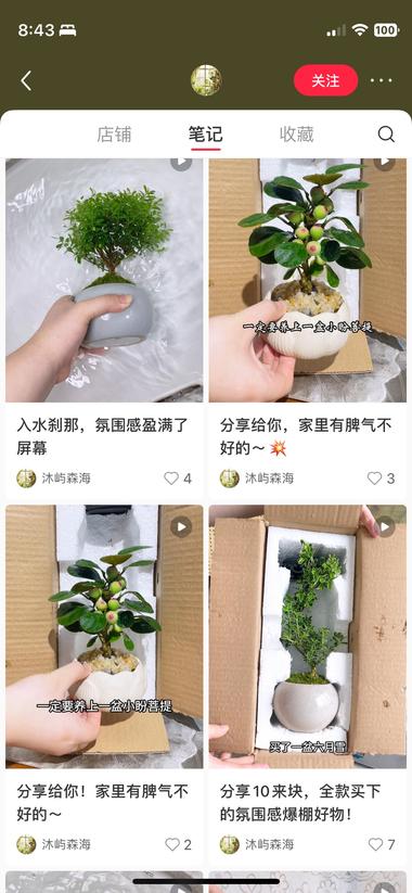 没想到小红书上面绿植卖得这么好，笔记….-航海圈