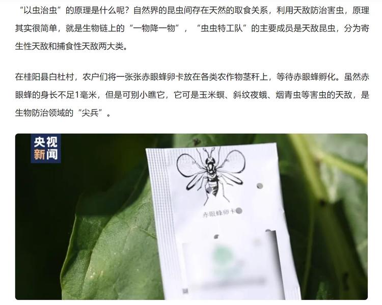 赤眼蜂卵卡….-搞钱风向标论坛-航海社群内容-航海圈