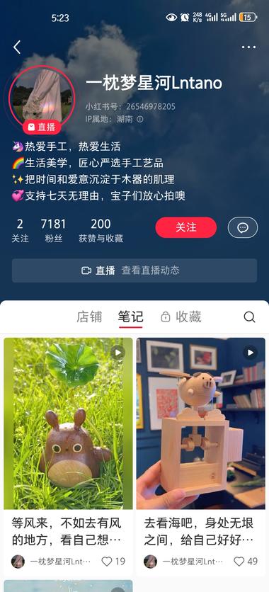 图片[2]-治愈原创木雕，红书搬运【抖音录播直….-网创风向标论坛-网络创业-网创圈