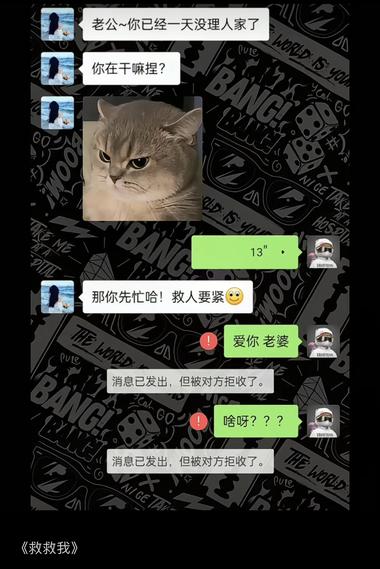 在视频号上，发现不少发搞笑对话的视频….-搞钱风向标论坛-航海社群内容-航海圈