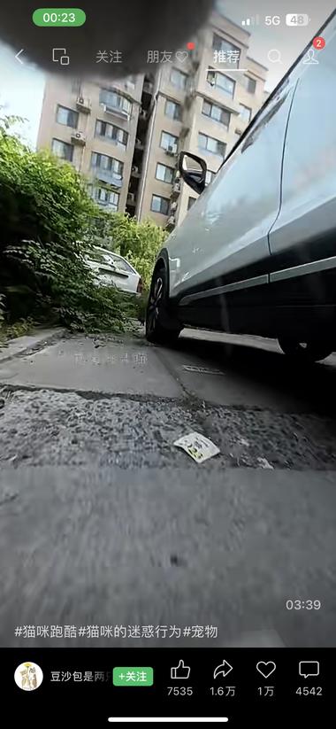 将摄像头安装在猫的项圈，拍摄一段追踪….-航海圈