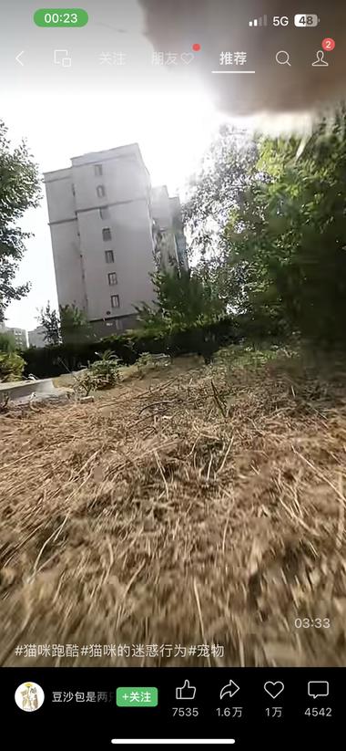 将摄像头安装在猫的项圈，拍摄一段追踪….-航海圈