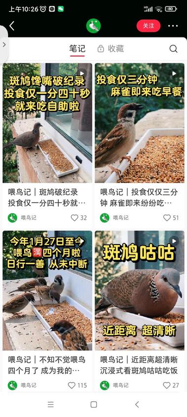 定机拍摄赛道,小鸟吃饭喽1、国外一….-航海圈