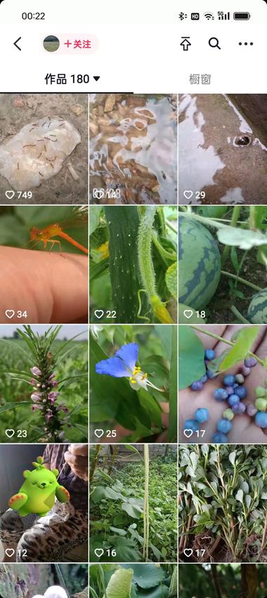 这个账号之前发的作品平平基本没什么流….-航海圈