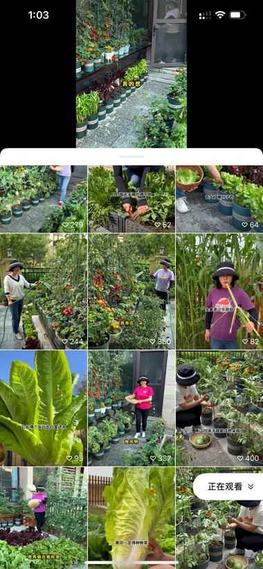 刷到这种有院子的号感觉上都是摆拍但是流量超….-航海圈