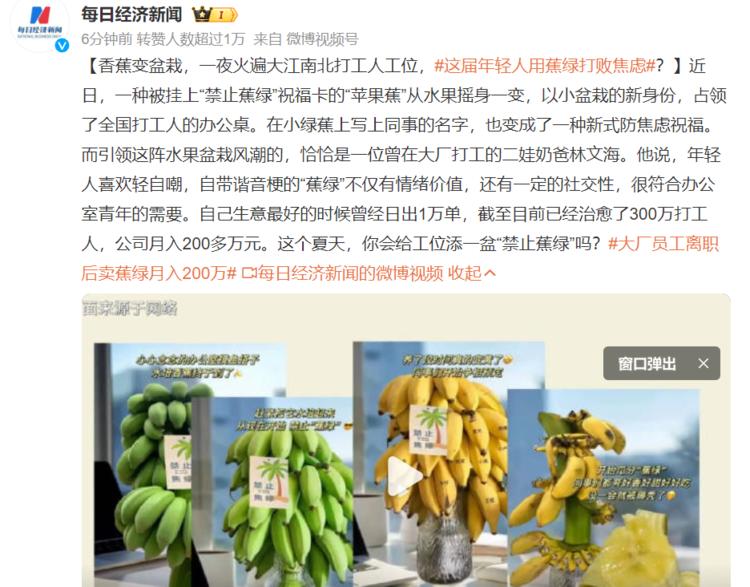 香蕉变盆栽，一夜火遍大江南北打工人工….-航海圈