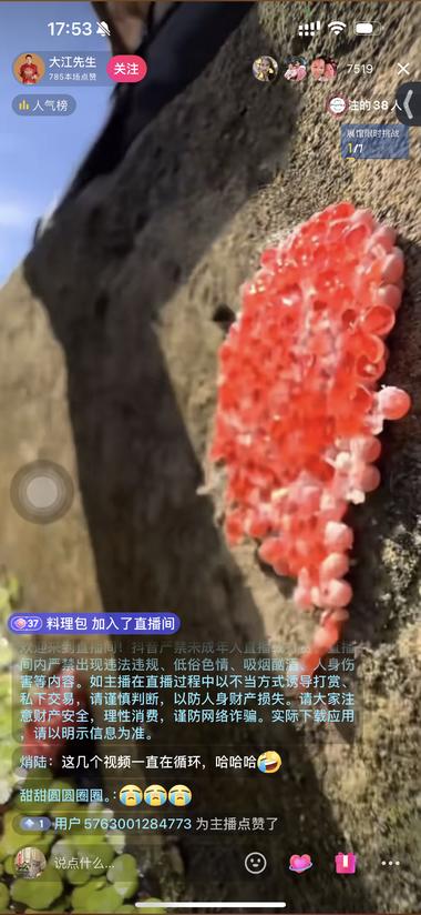 绿幕直播，画面播的是一些解压素材，主….-搞钱风向标论坛-航海社群内容-航海圈