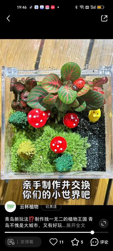 介个也不错啊，自己搭配做微缩景观，7….-航海圈