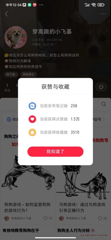 小红书宠物赛道➕虚拟商品 销量不错 训狗….-航海圈