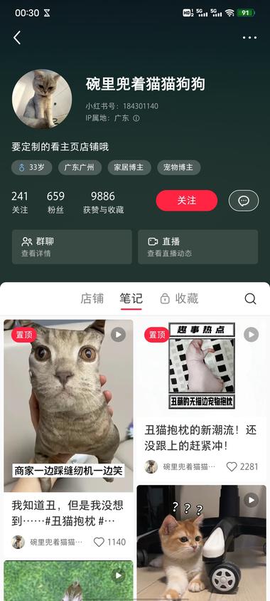 定制宠物丑抱枕，粉丝很少，但流量还….-航海圈