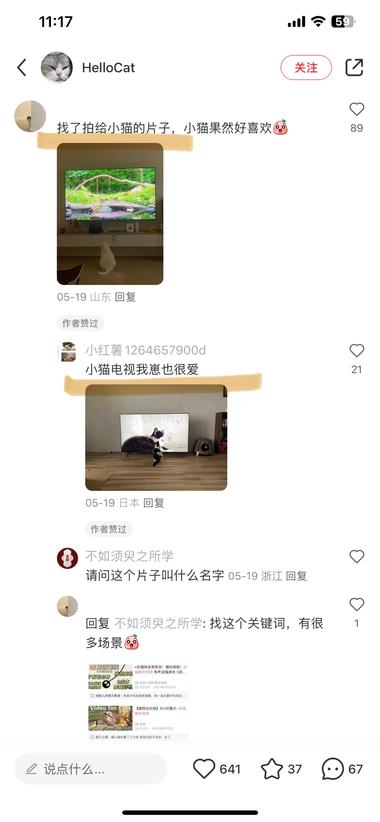 宠物行业新细分——给家里猫狗崽崽看的片源….-航海圈