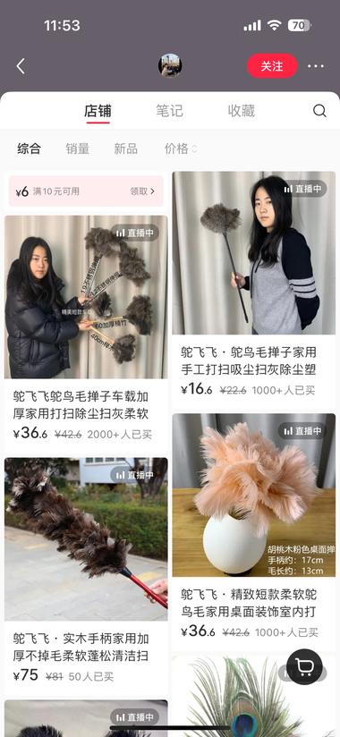 小红书：稀有动物吸睛，然后带鸵鸟毛….-航海圈