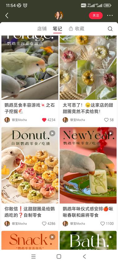 细分赛道，卖鹦鹉的鸟粮和零食….-航海圈