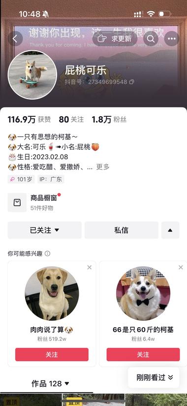 很有趣的视频，可以做宠物相关的带货也….-搞钱风向标论坛-航海社群内容-航海圈