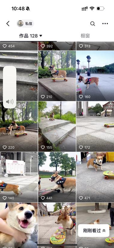 图片[2]-很有趣的视频，可以做宠物相关的带货也….-网创风向标论坛-网络创业-网创圈