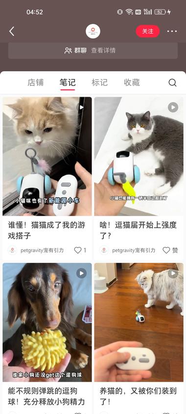 平台赛道：小红书+宠物玩具目标….-航海圈