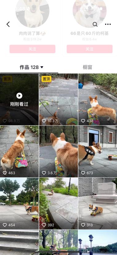 图片[3]-很有趣的视频，可以做宠物相关的带货也….-网创风向标论坛-网络创业-网创圈