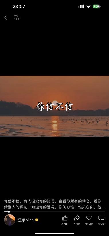 视频号“你信不信”的Z愈系预言，很….-航海圈