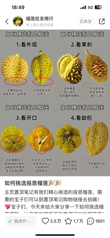 榴莲怎么挑，小红书爆火带货榴莲月入十….-航海圈