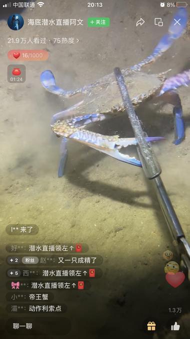 图片[3]-视频号新奇内容录播
销售额51w，直播….-网创风向标论坛-网络创业-网创圈