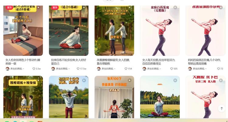 小红书养生瑜伽动画涨粉10万起号：….-航海圈