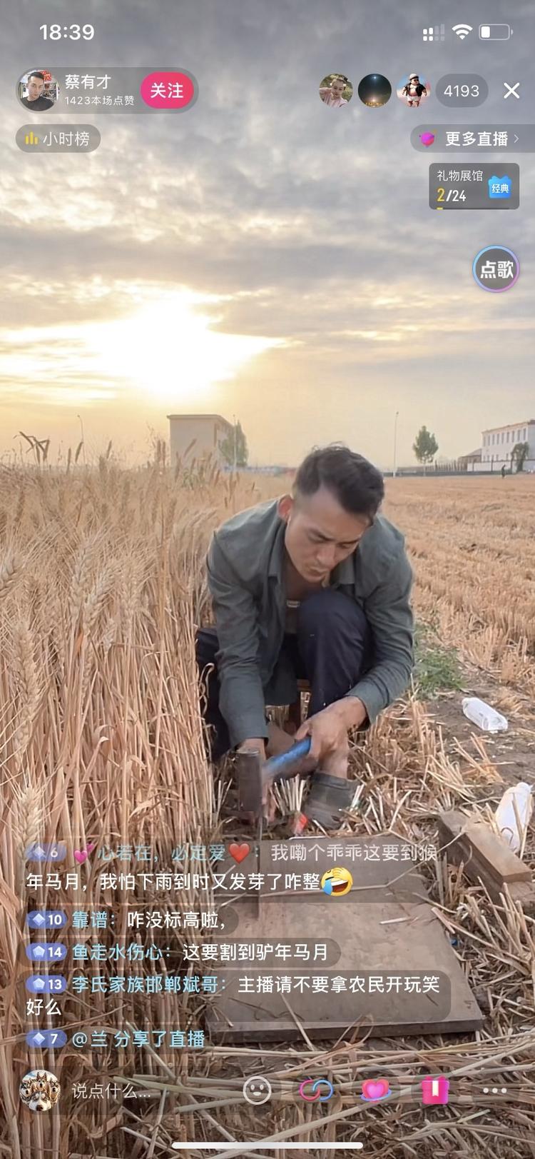 一次只割一颗麦子，还要整整齐齐的摆好….-搞钱风向标论坛-航海社群内容-航海圈