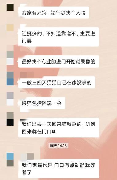 养宠物的人越来越多，节假日放假外出….-航海圈