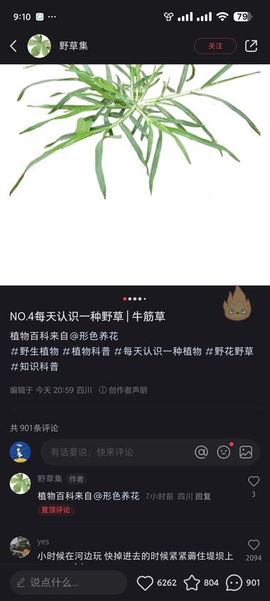 小红书植物科普账号，流量还是不错的。….-航海圈