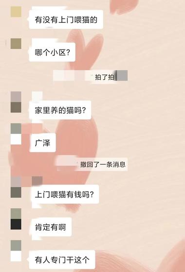 养宠物的人越来越多，节假日放假外出….-航海圈