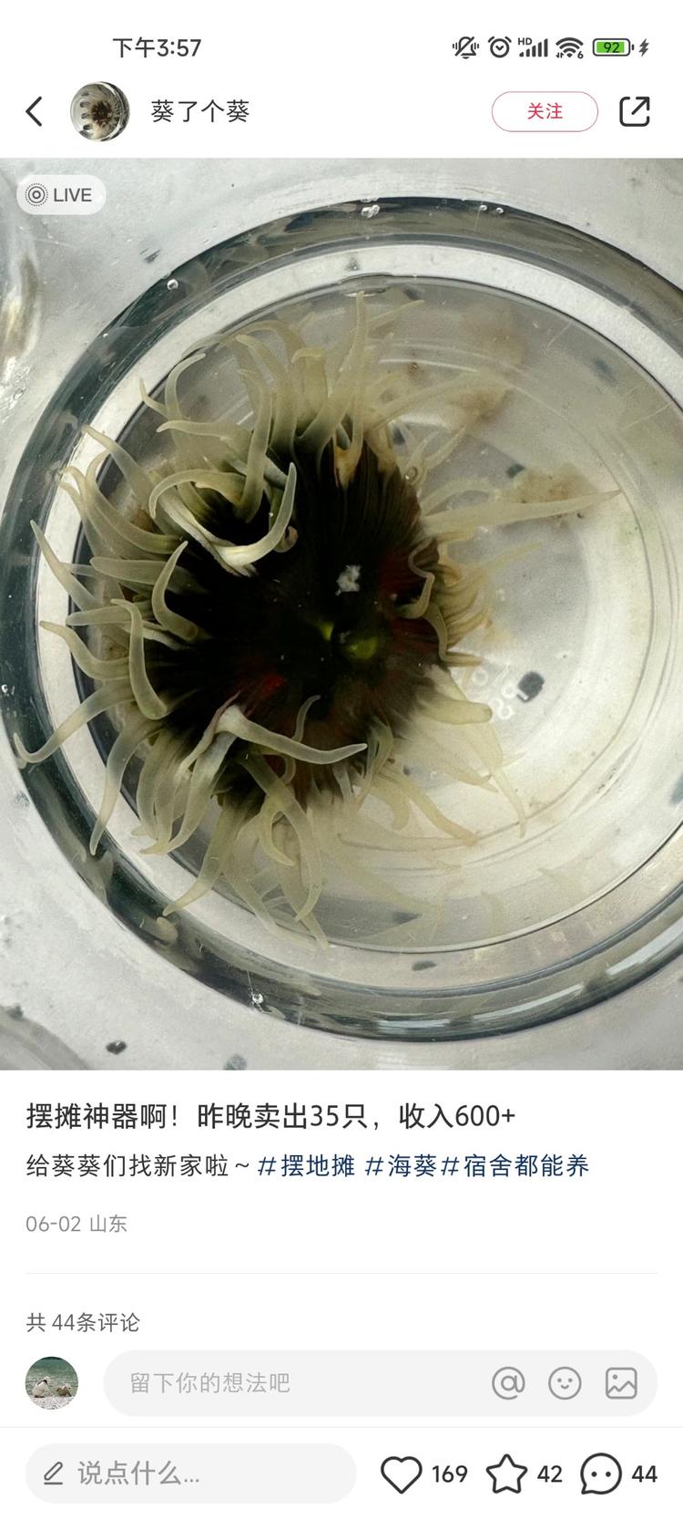 最近卖海葵水母之类的小水族箱的蛮火的….-搞钱风向标论坛-航海社群内容-航海圈