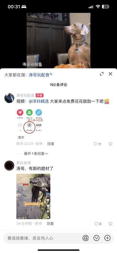 图片[2]-抖音账号近180万的粉丝，基本上每….-网创风向标论坛-网络创业-网创圈